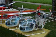 Mueller_Alouette_011