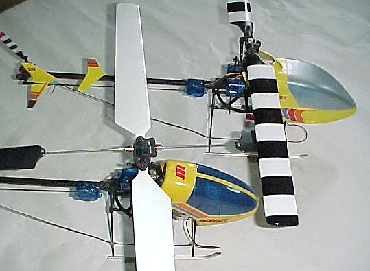 Hornets